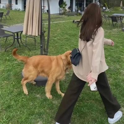 悬疑犯罪精选4